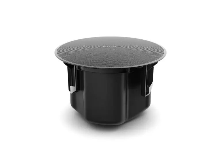 BOSE DesignMax DM5C Seated