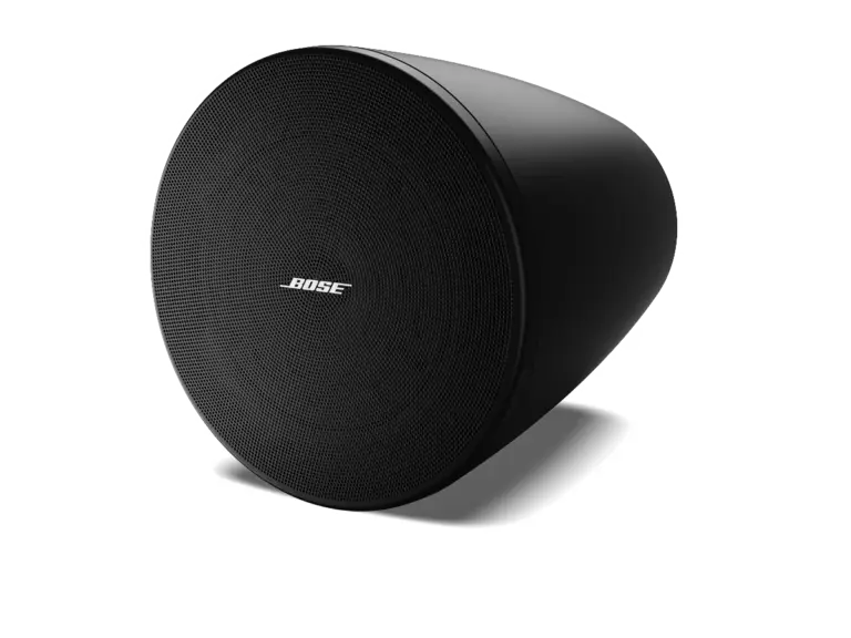 BOSE DesignMax DM5P Main