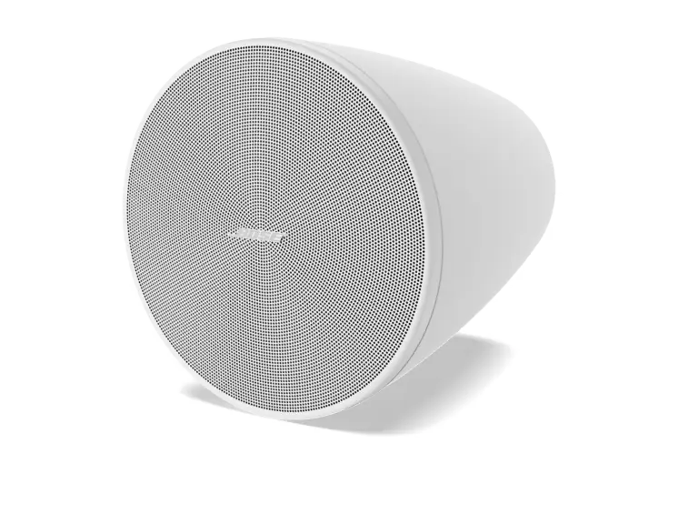 BOSE DesignMax DM5P White