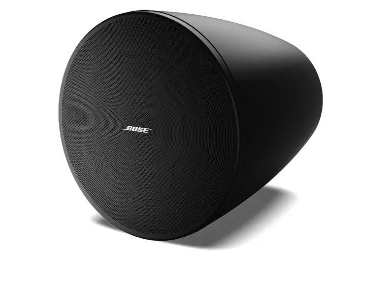 BOSE DesignMax DM6PE Main